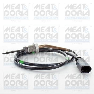 Sensor, exhaust gas temperature